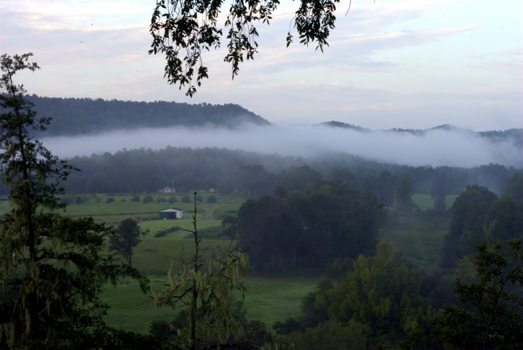 Foggy Valley