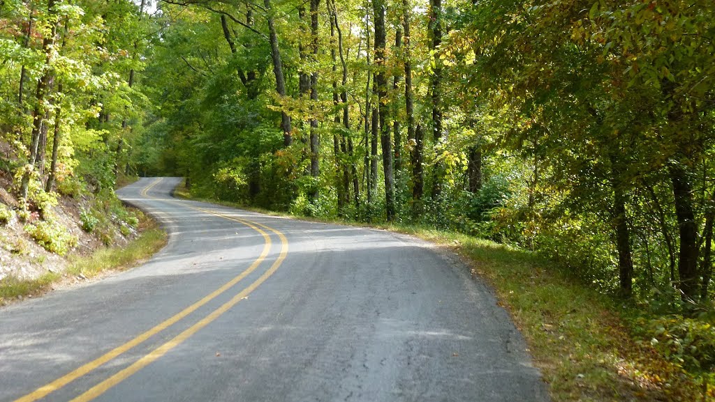 2012_10-10_Ouachita National Forest_P1050758_Arkansas 375