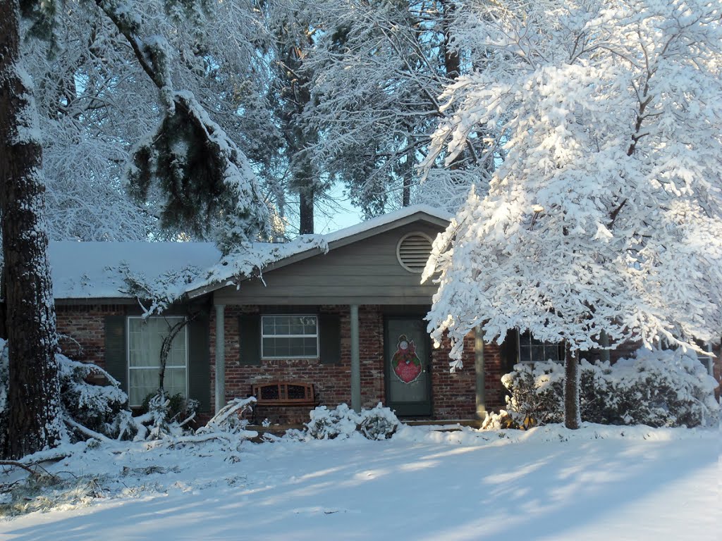 Snow on Christmas Day, 2012