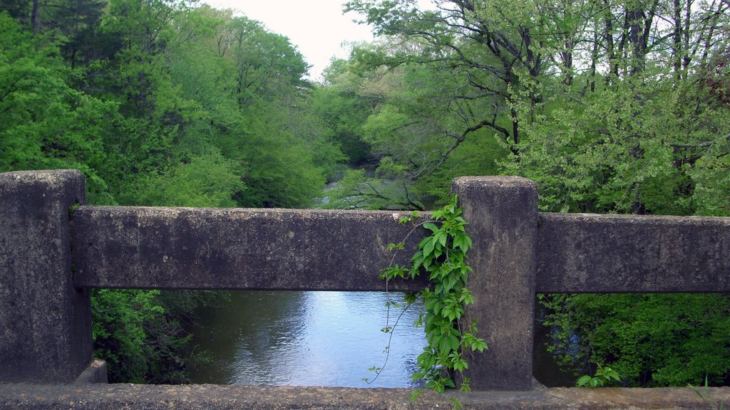 Little Mazarn Creek