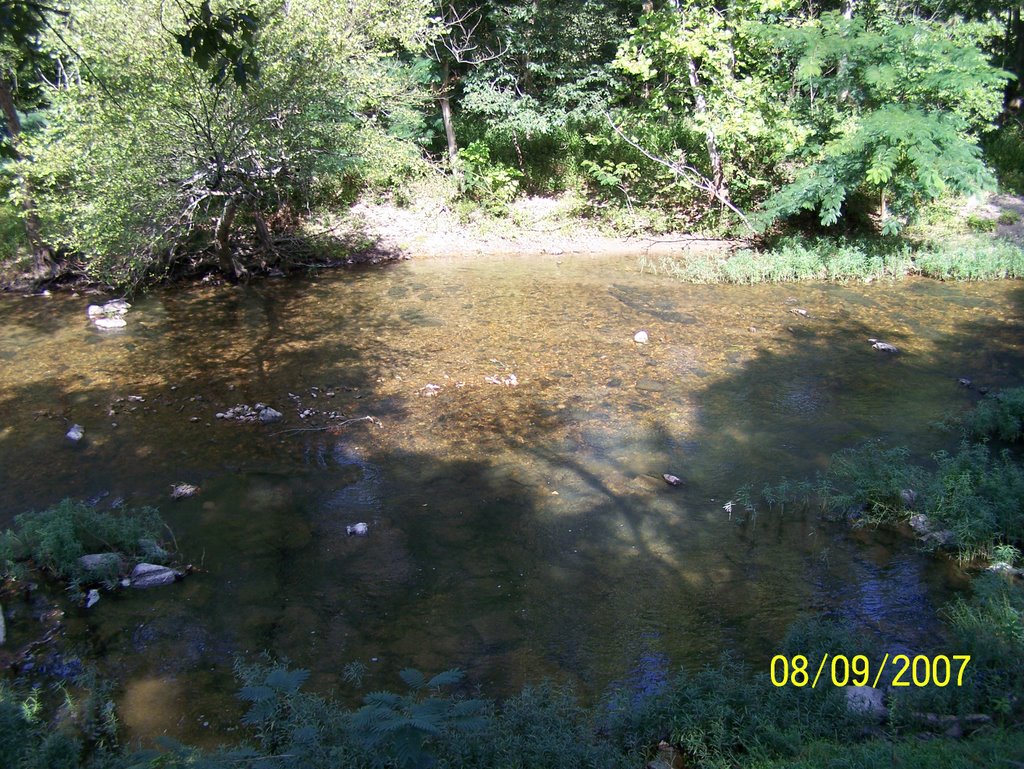 View of Caddo River from cabin 1 at Caddo river ranch cabins