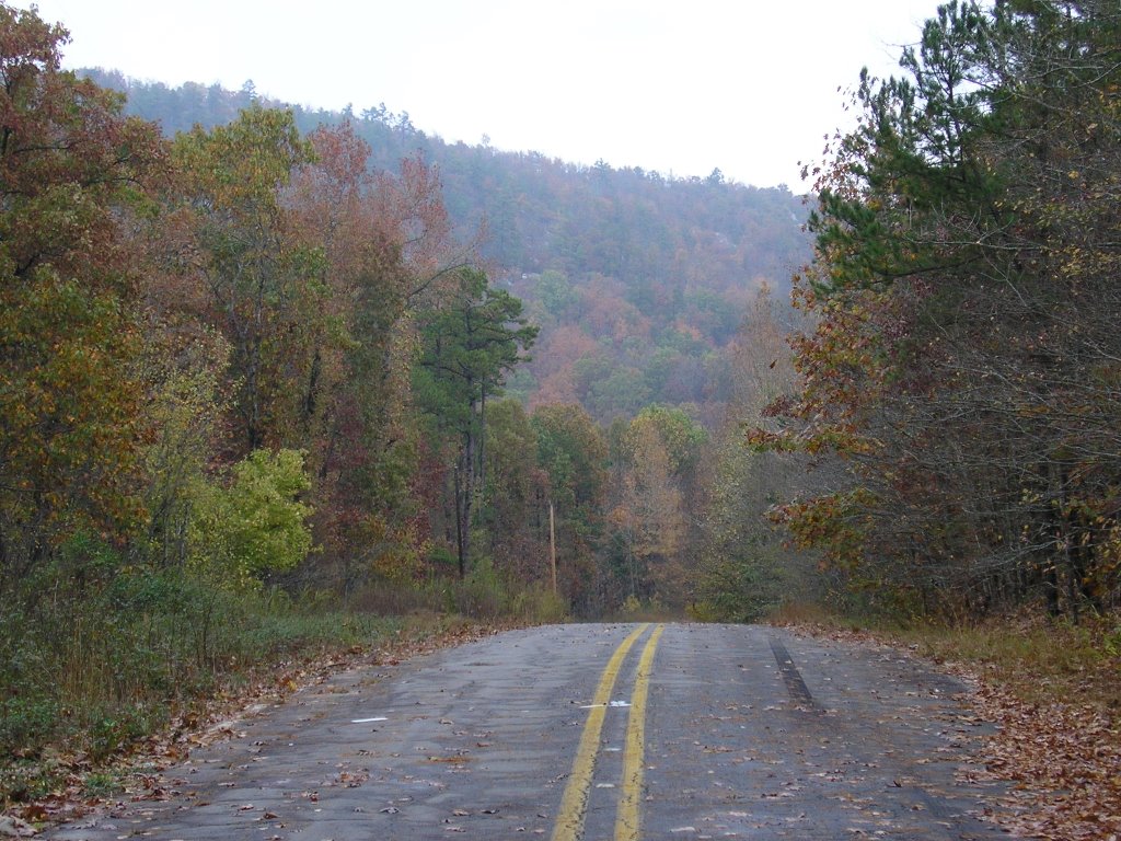 Deserted Highway