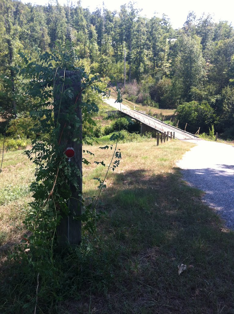 Little Bridge
