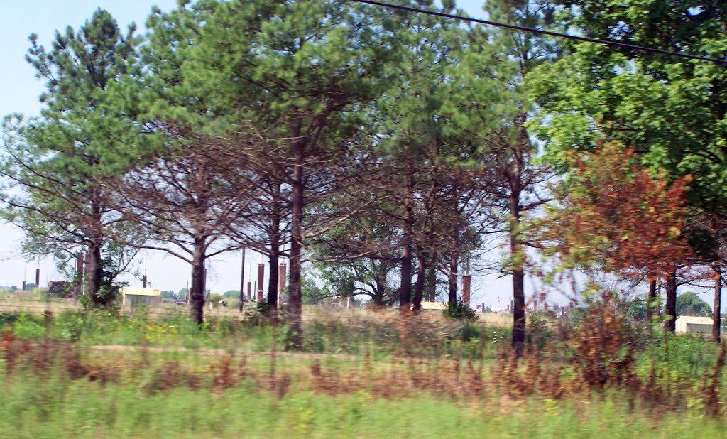 FORT CHAFFEE - ONLY THE FIREPLACE CHIMNEYS REMAIN AFTER FIRE