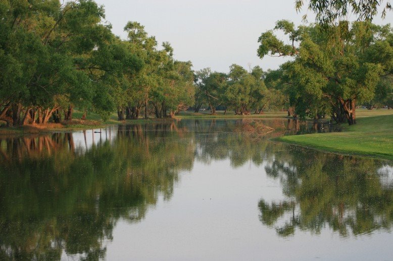 Reflections in Pond off Ouachita River