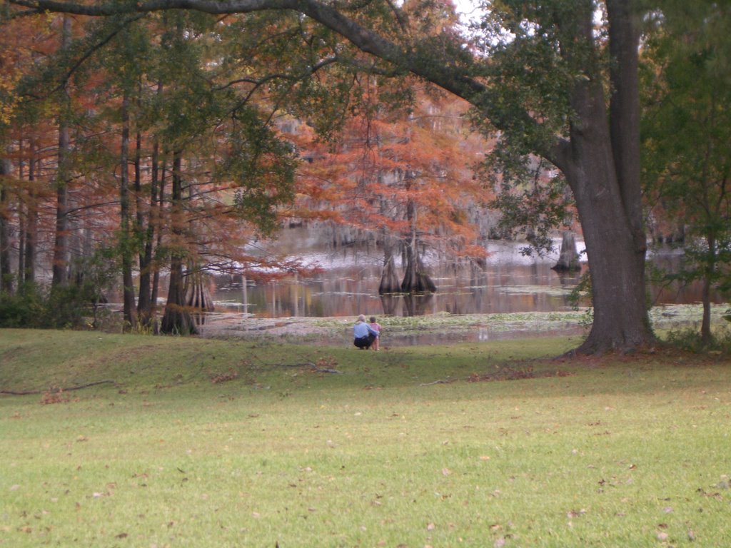 Bayou DeSiard