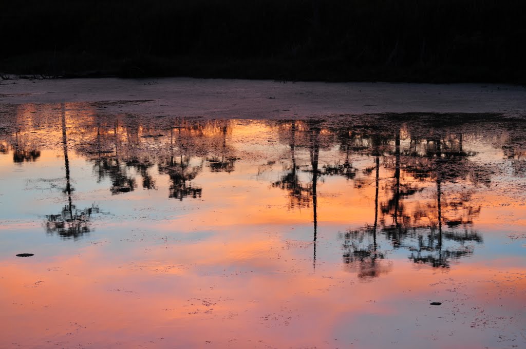 Sunset at Black Bayou Lake NWR