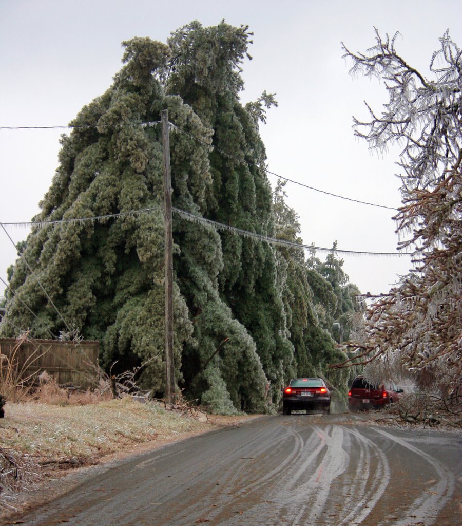 Ice Storm 2009