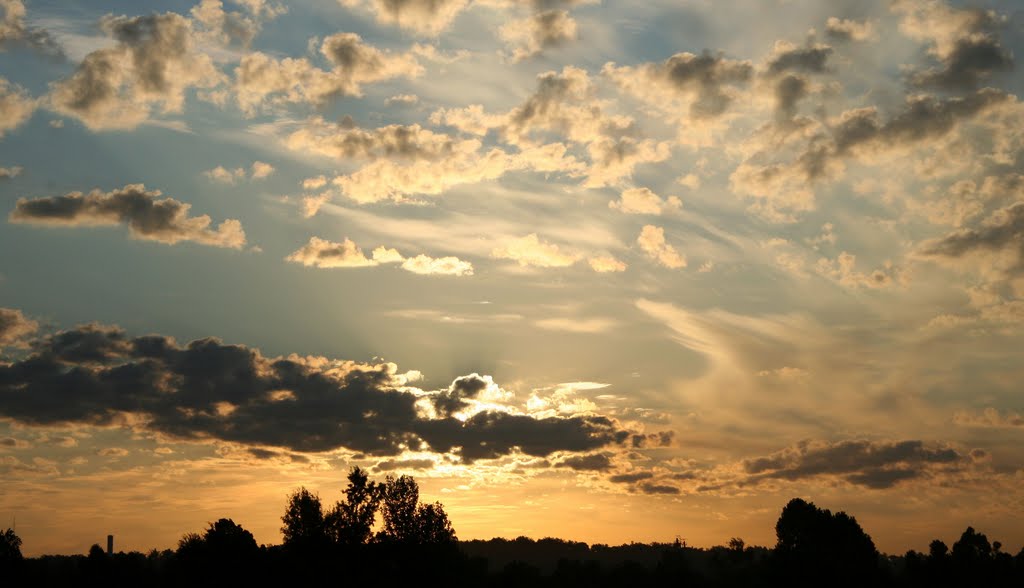 Golden Sunrise