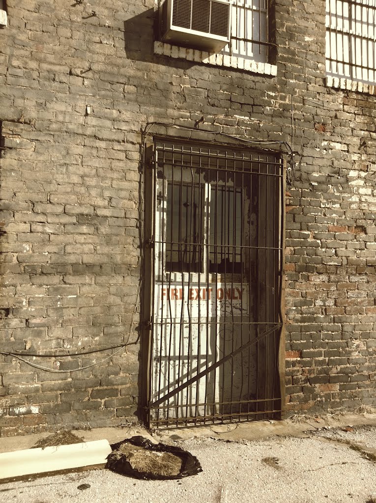 Back Door