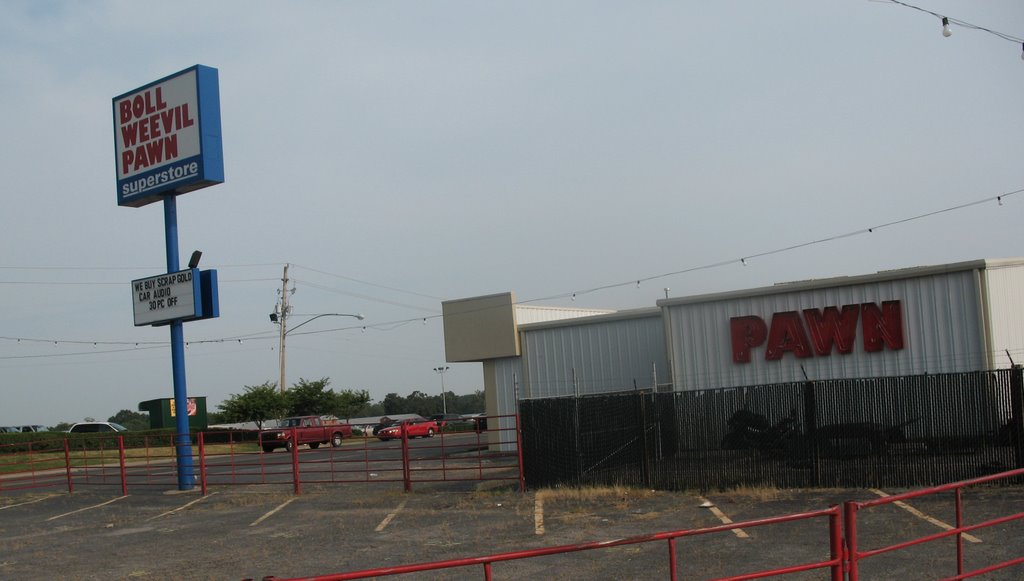 Boll Weevil Pawn