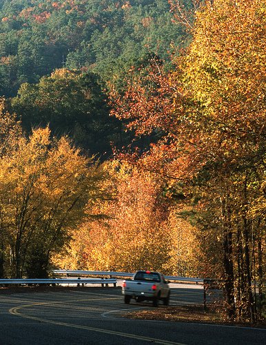 Beavers Bend State Park - Fall
