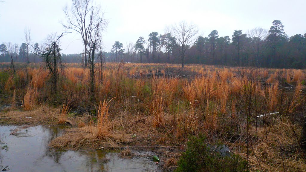 Haynesville