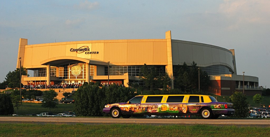 LSU LIMO