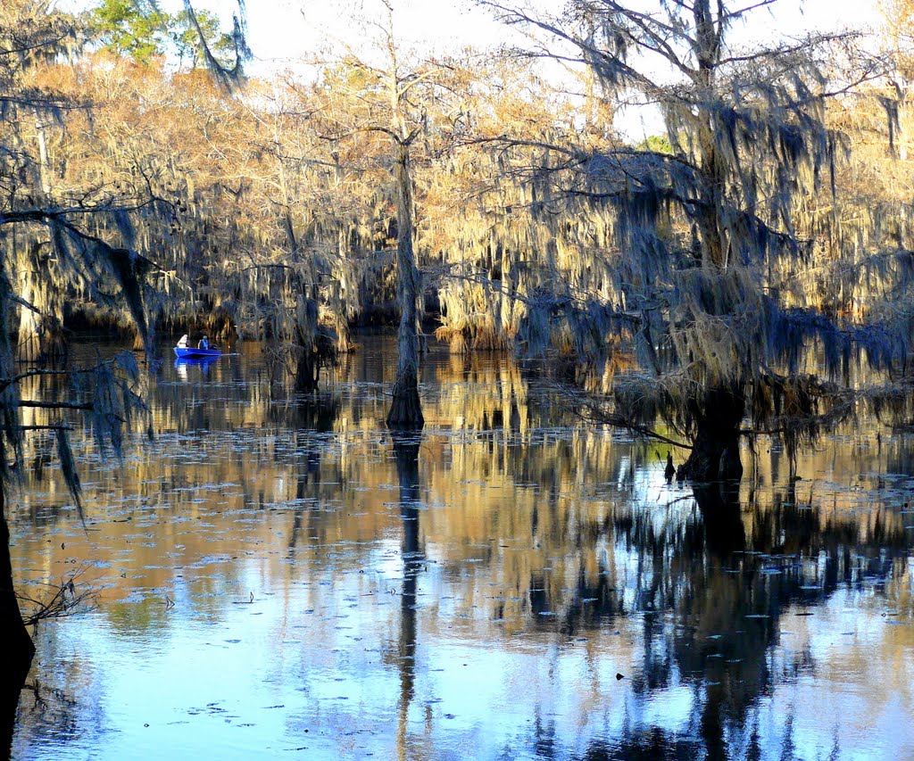 The Mill Pond in winter, Caddo Lake, Texas