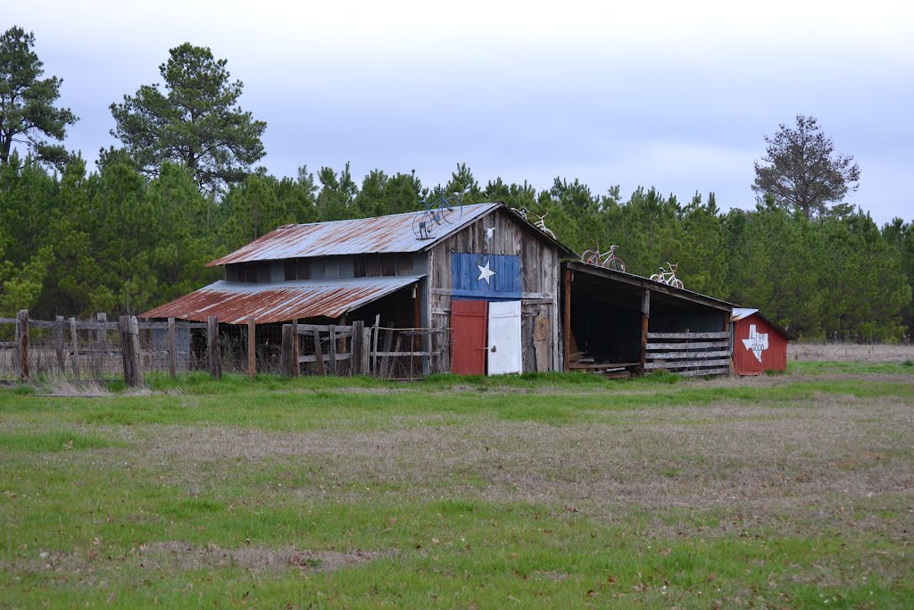 Texas pride shown on this barn.(note bicycles on roof)