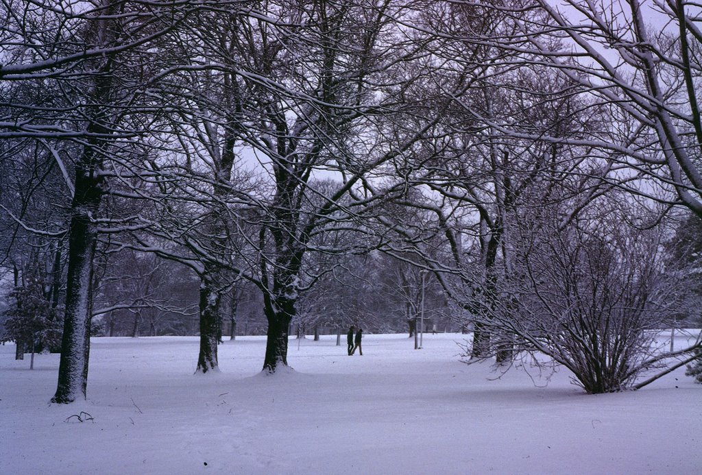 UA of Fayetteville - snow 1977 behind Old Main