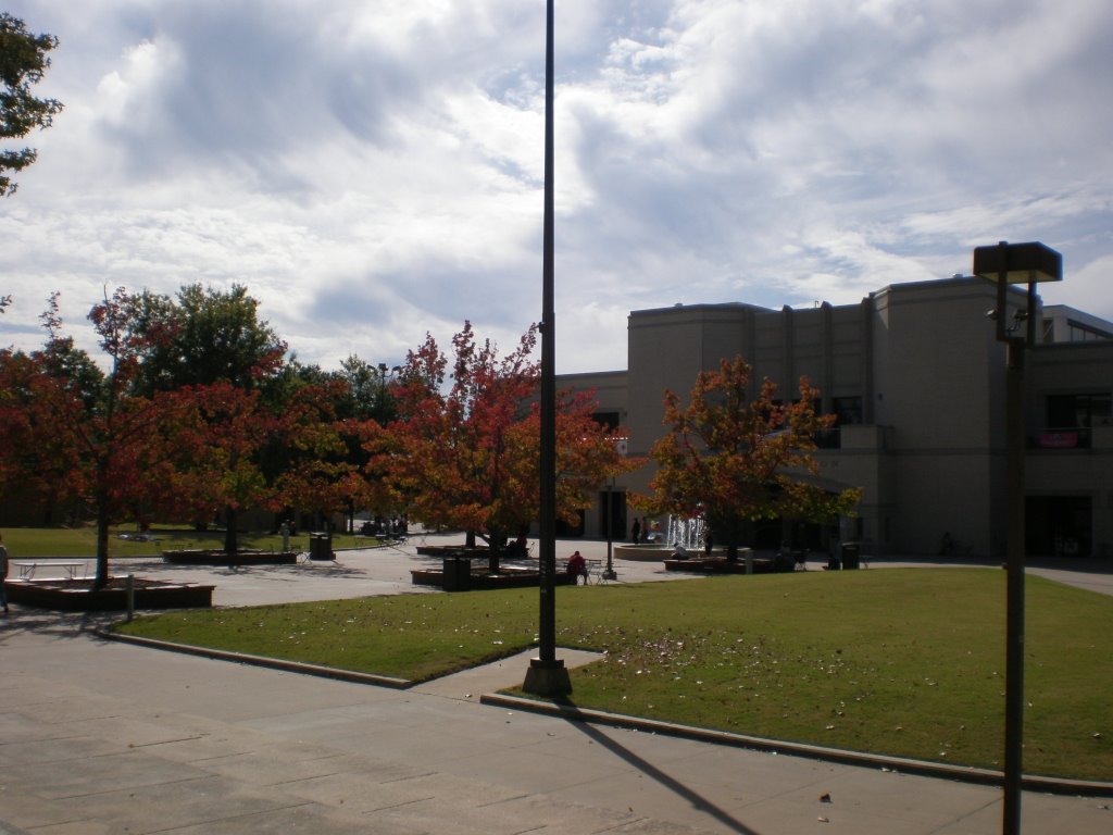 Arkansas Union Mall