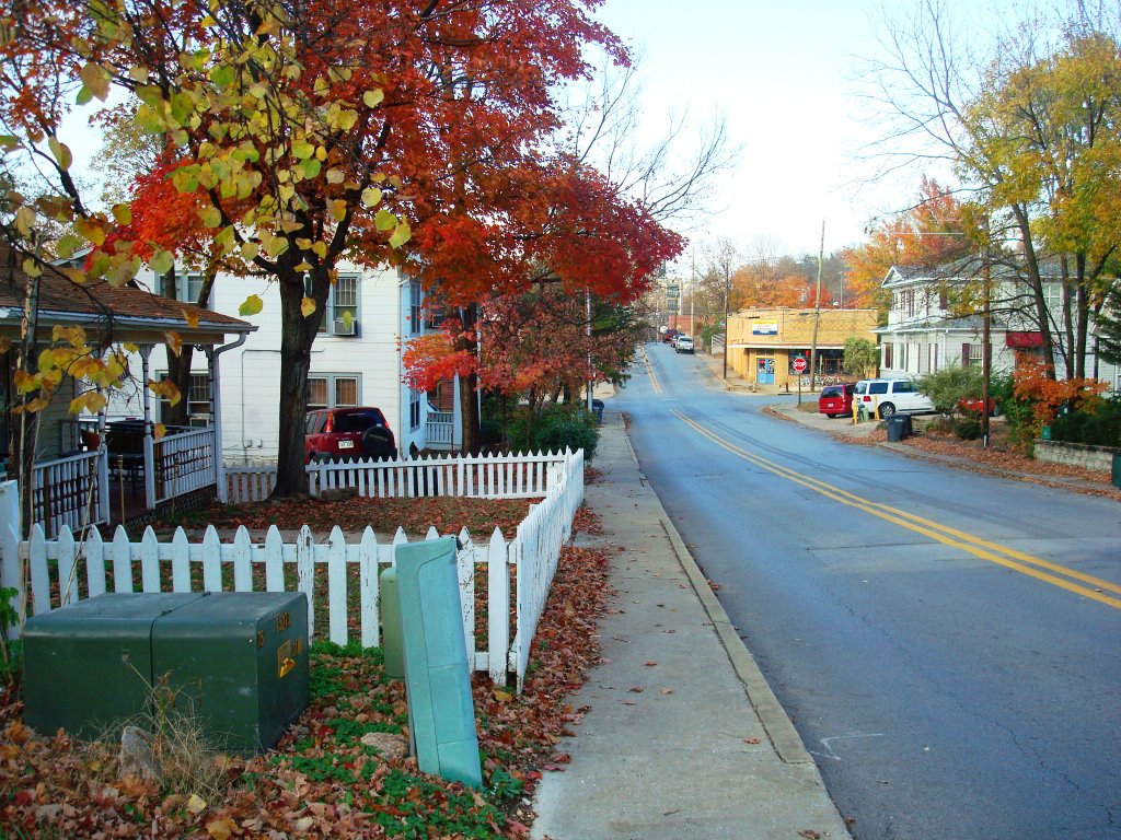 N School Avenue, Fayetteville (11.2008)
