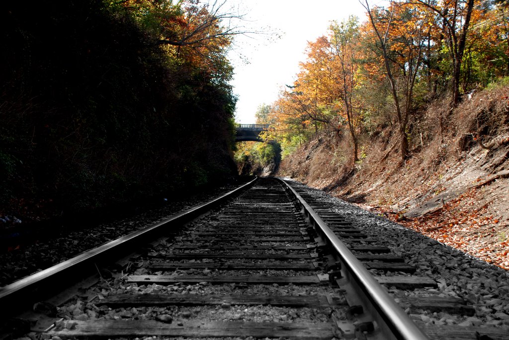Rail Road in the Fall