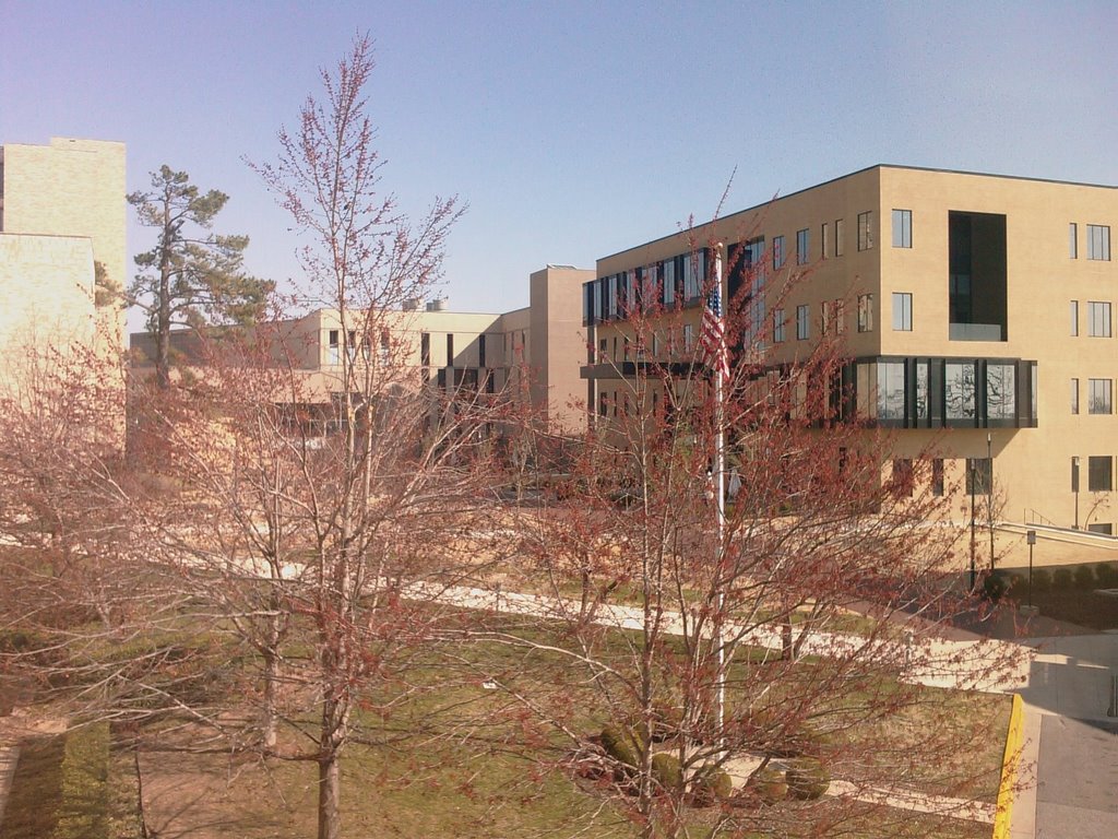 Walton College mini-campus in spring