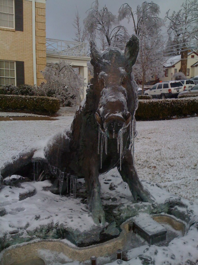 University House Razorback