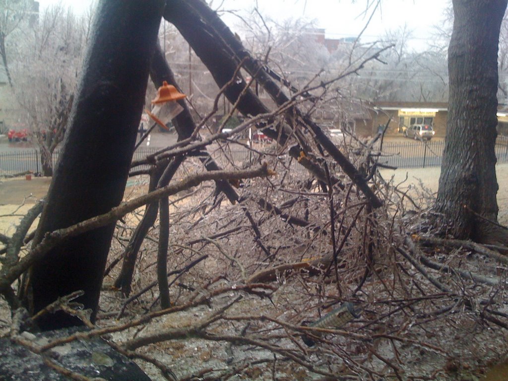Ice Storm of 2009. Fayetteville, AR