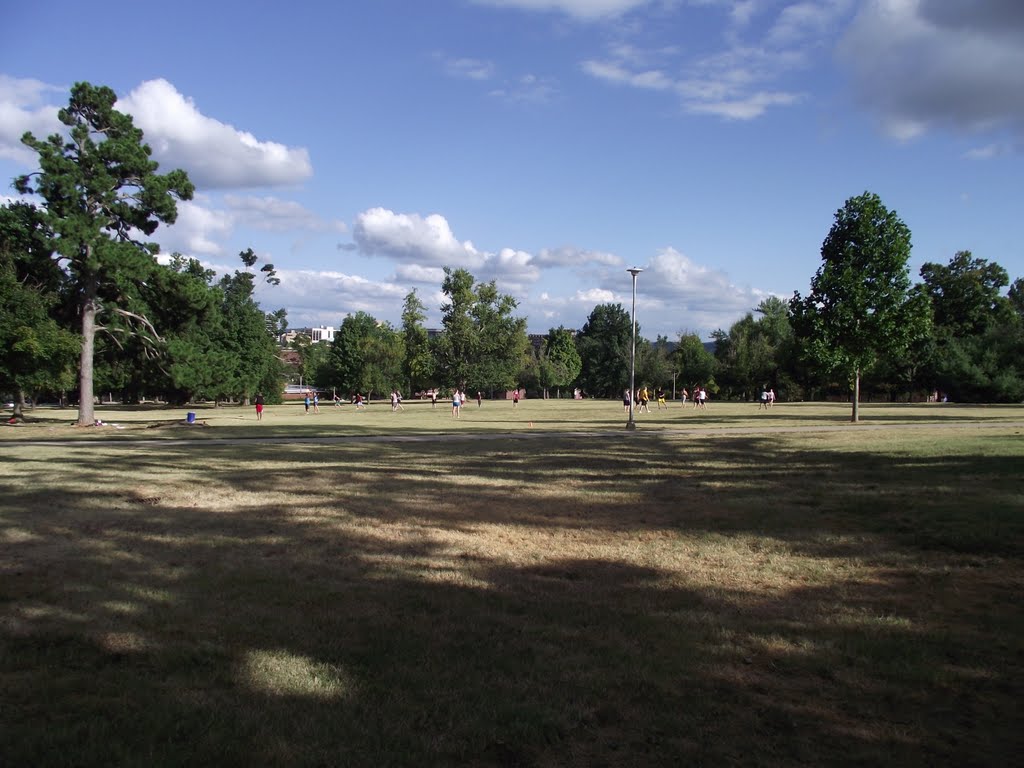 University of Arkansas (阿肯色大學)