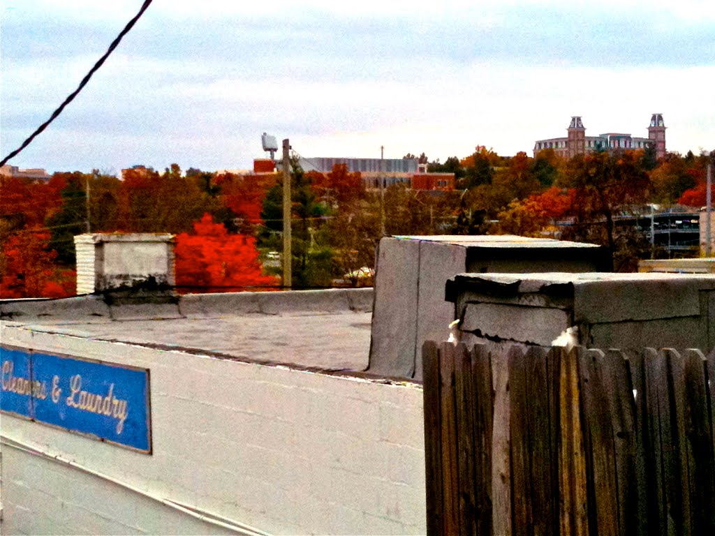 A View of the University of Arkansas