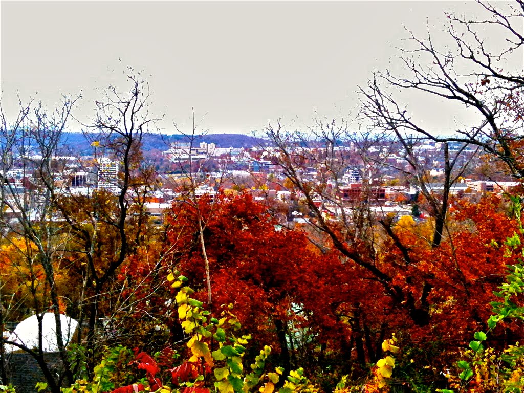 Beautiful Fayetteville in the Fall