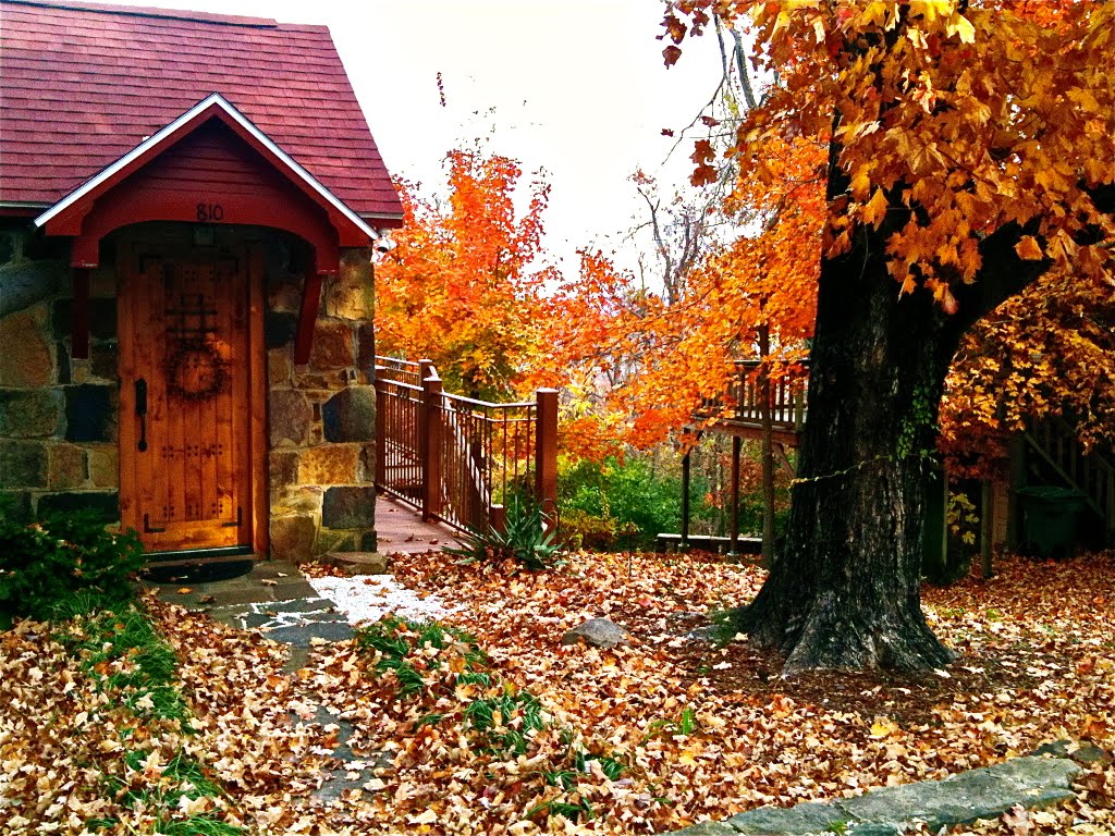 Fayetteville Homes