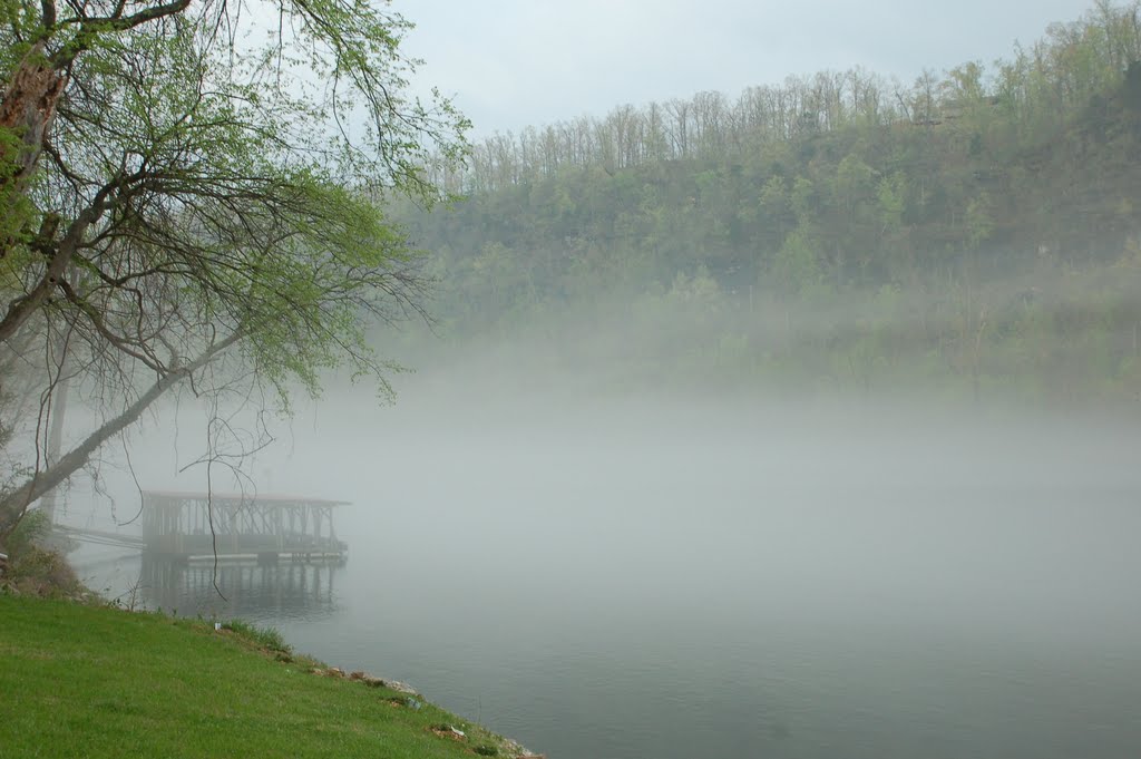 Morning Fog on the White River
