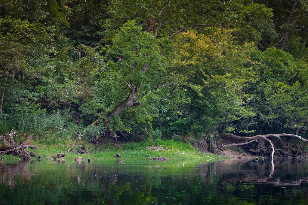 White River