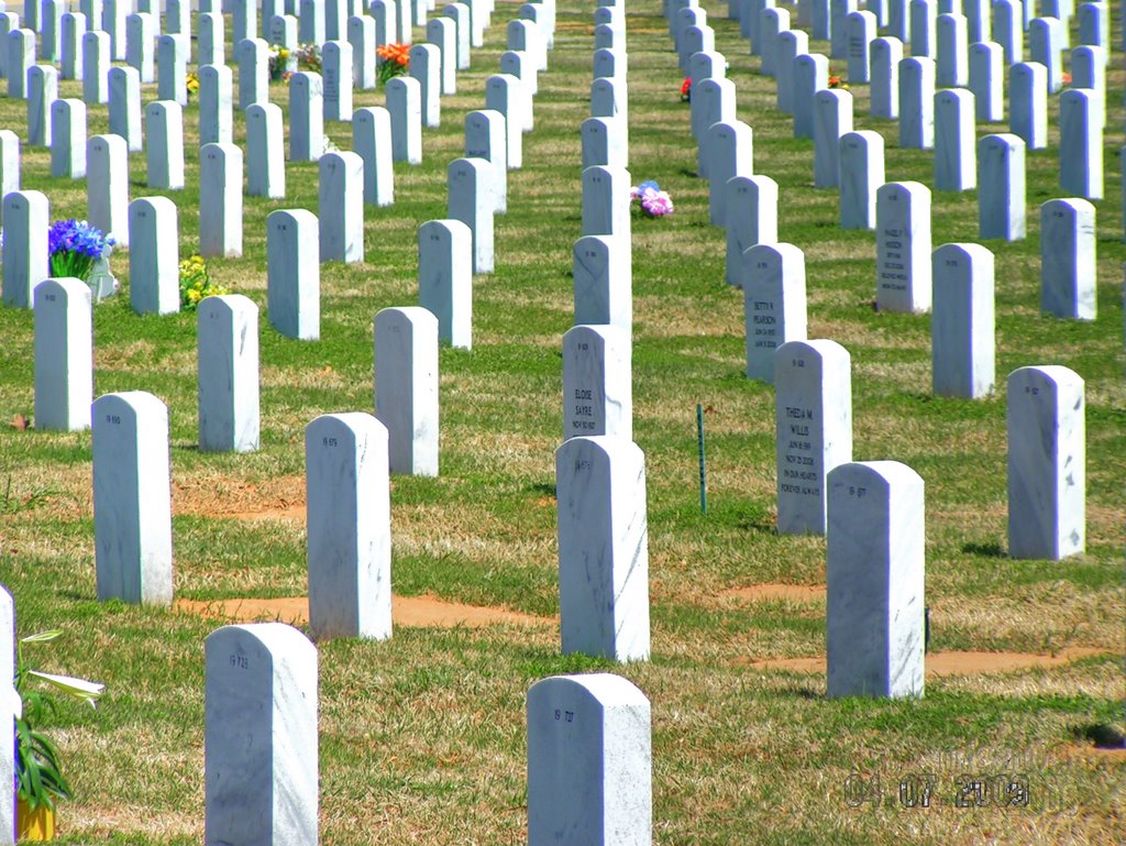 Fallen
