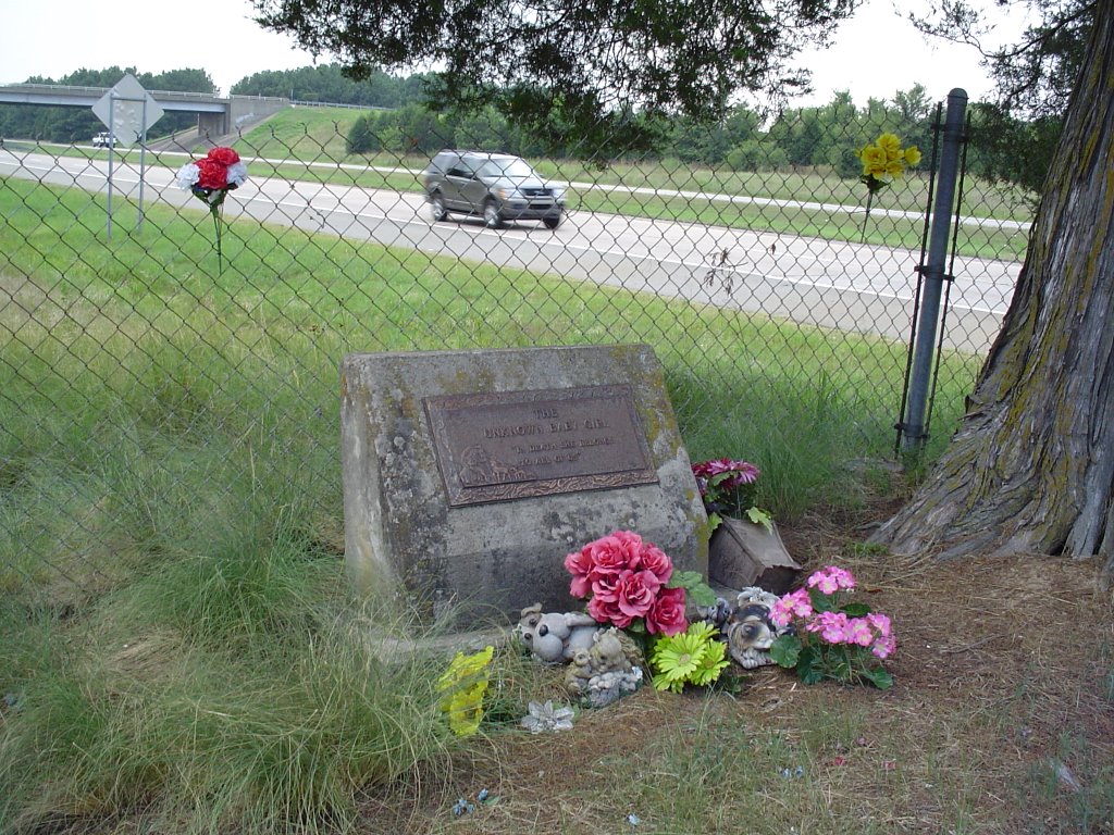Grave on an unknown baby girl