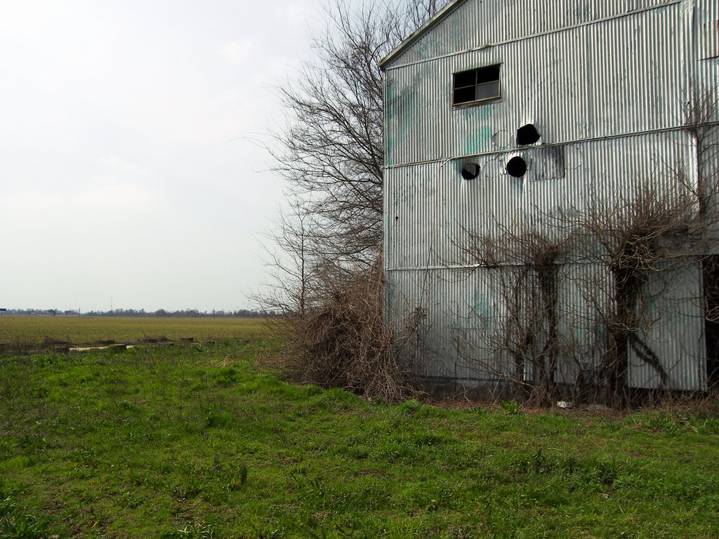 Long Live King Cotton - Old Cotton Building