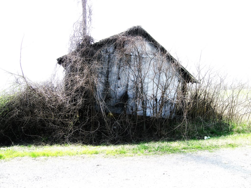 Tilt - Decaying Metal Building