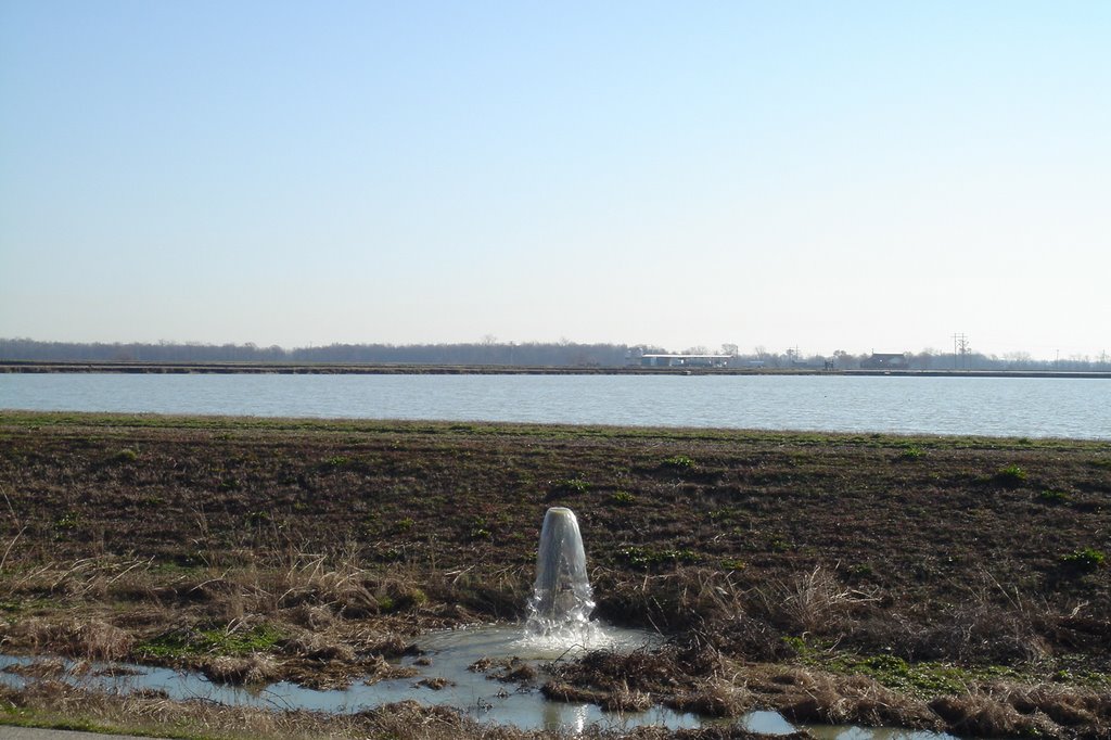 Pond on a Farm