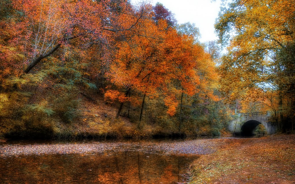 Gulpha Gorge - November 2010