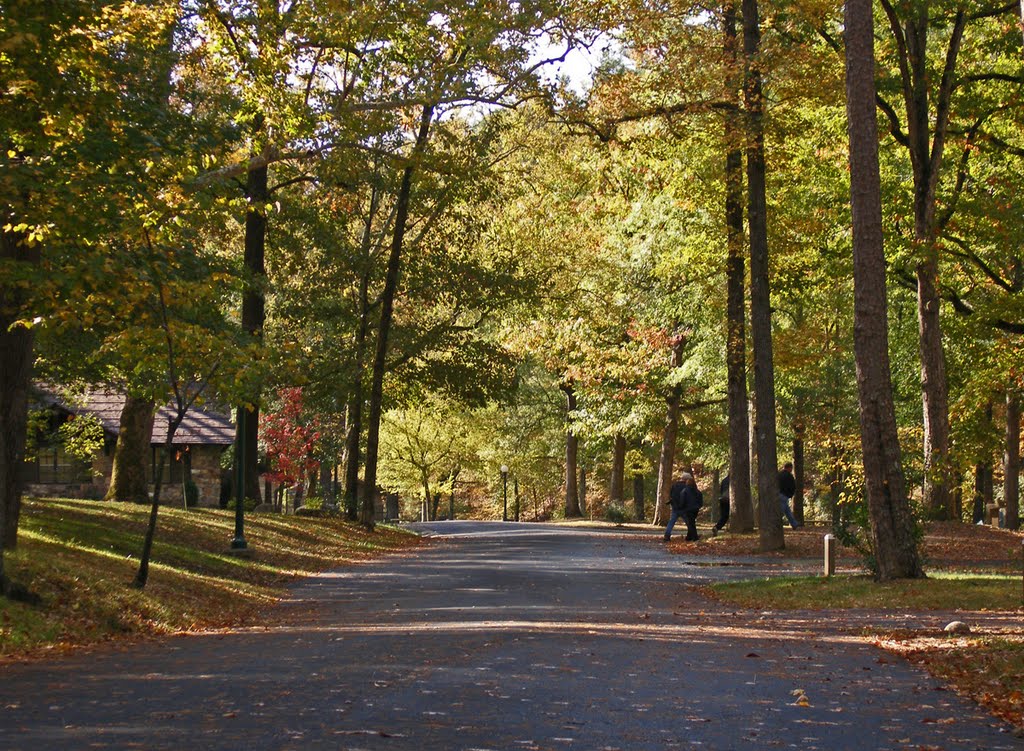 Gulpha Campground Road