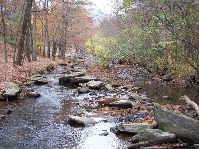 Gulpha Gorge Stream in Autumn - Hot Springs Arkansas