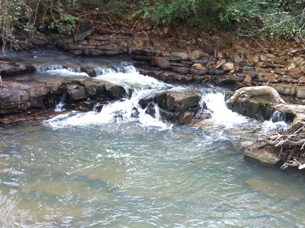 Sherwood City Park Stream