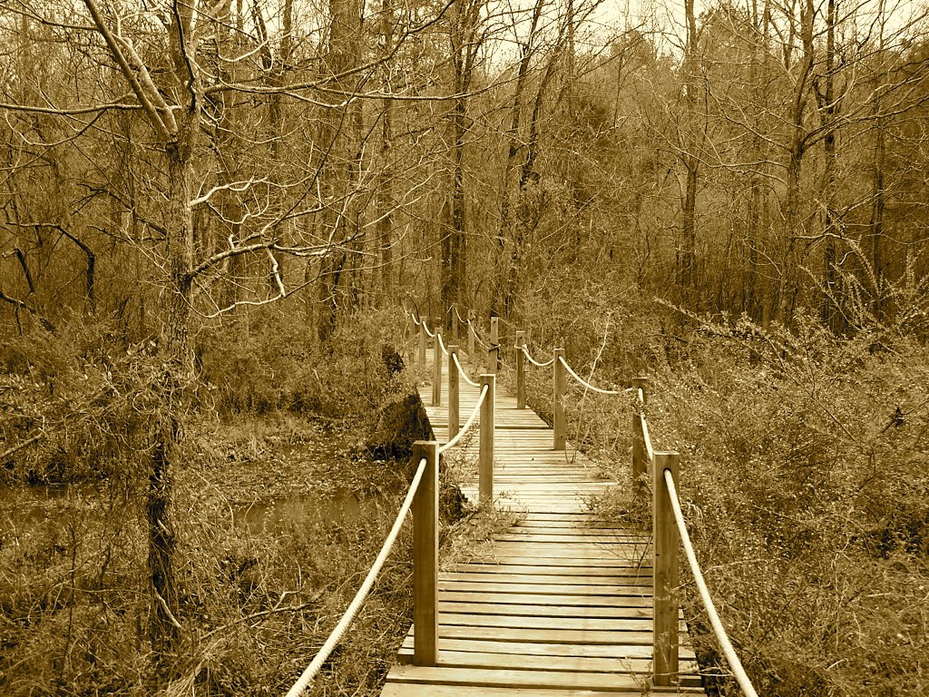 Walk Bridge