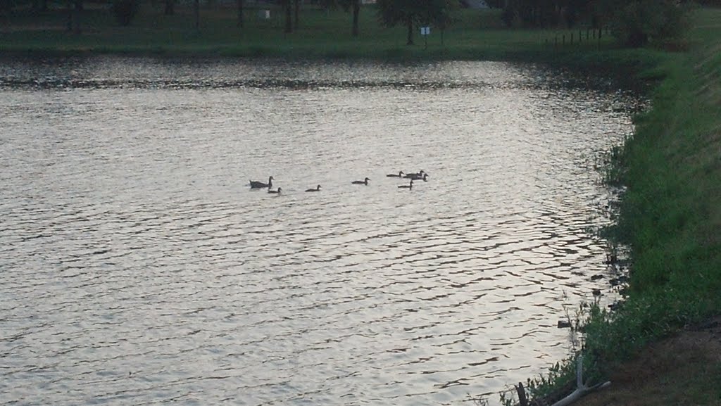 Thomas Lake