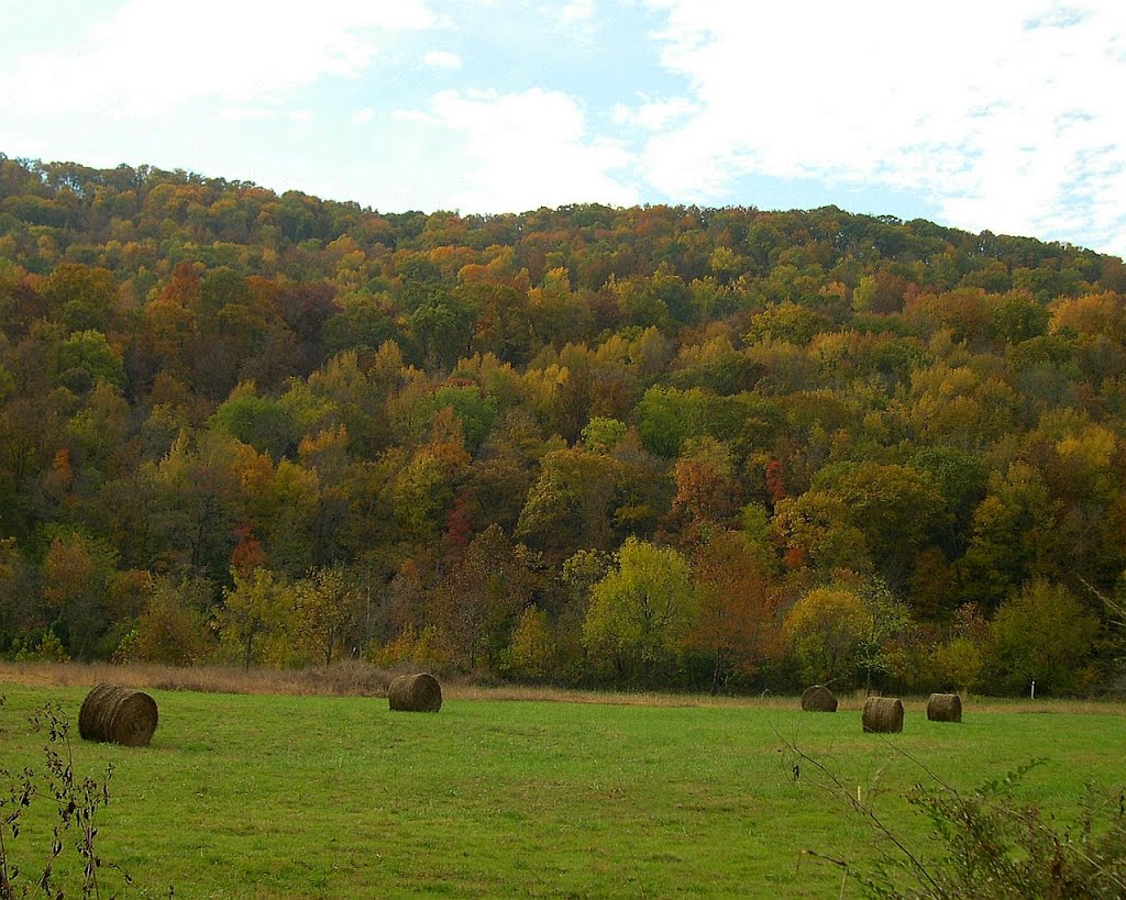 The Boston Mountains along County Hwy 32