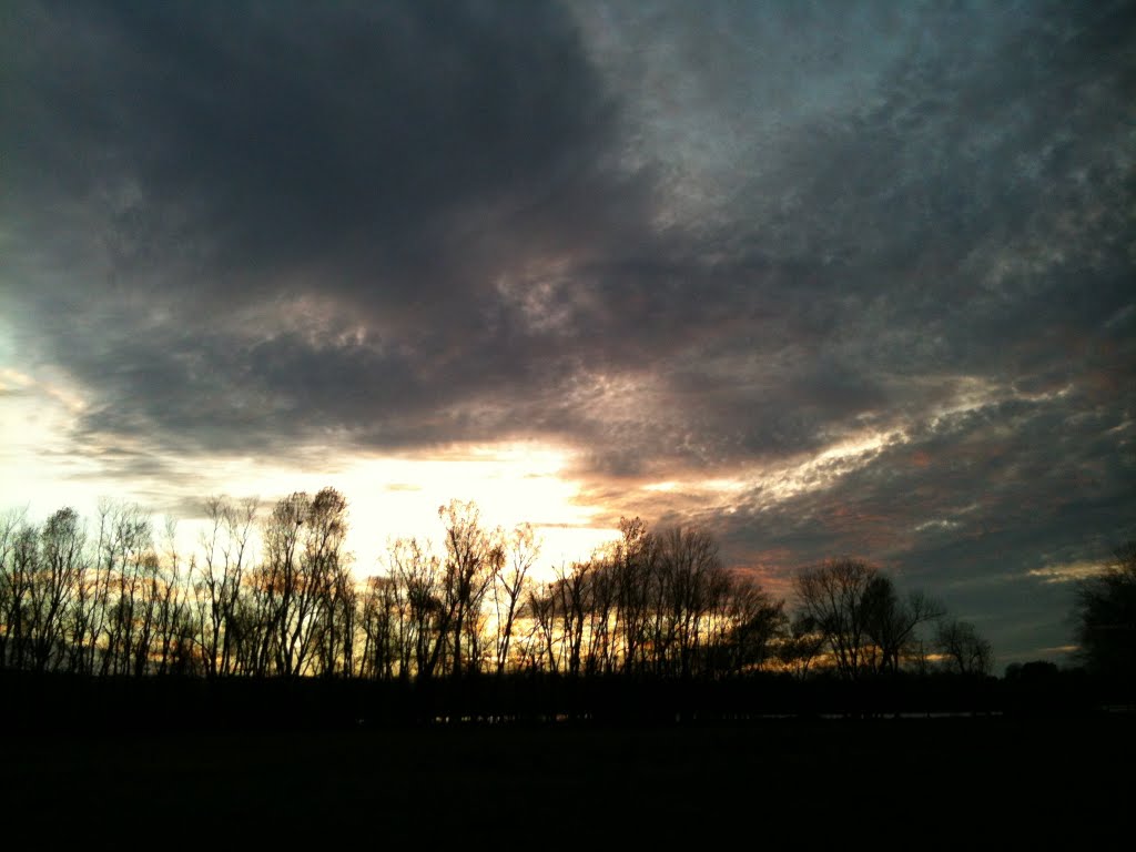 Lake Sequoyah Trail