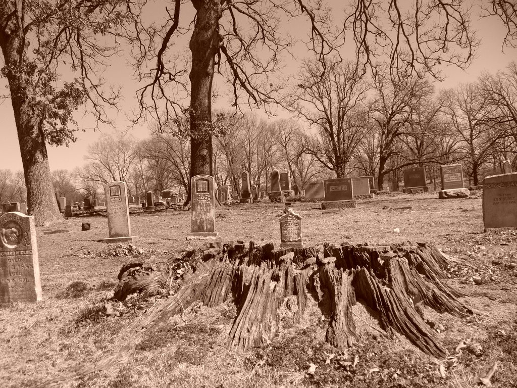 Elm Springs Cemetery, Elm Springs, Arkansas