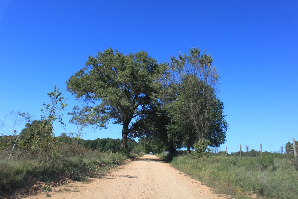 Looking north on Brush Arbor Rd