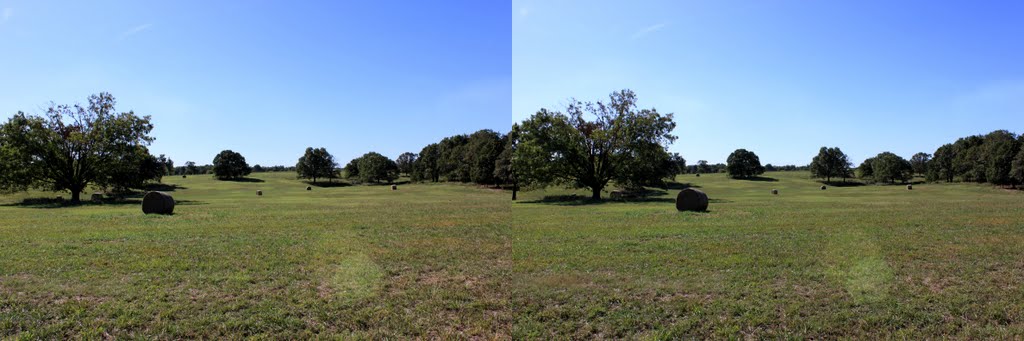 X3D hay bales curing in the Arkansas sun