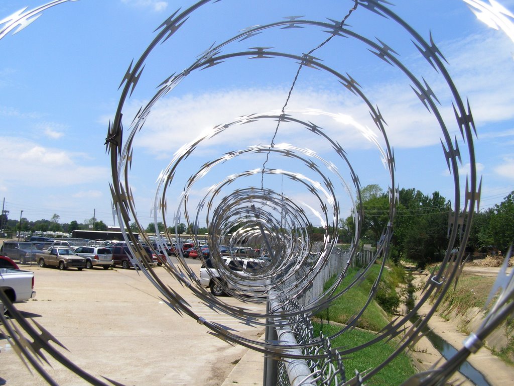 Barb Wire at LSU medical center